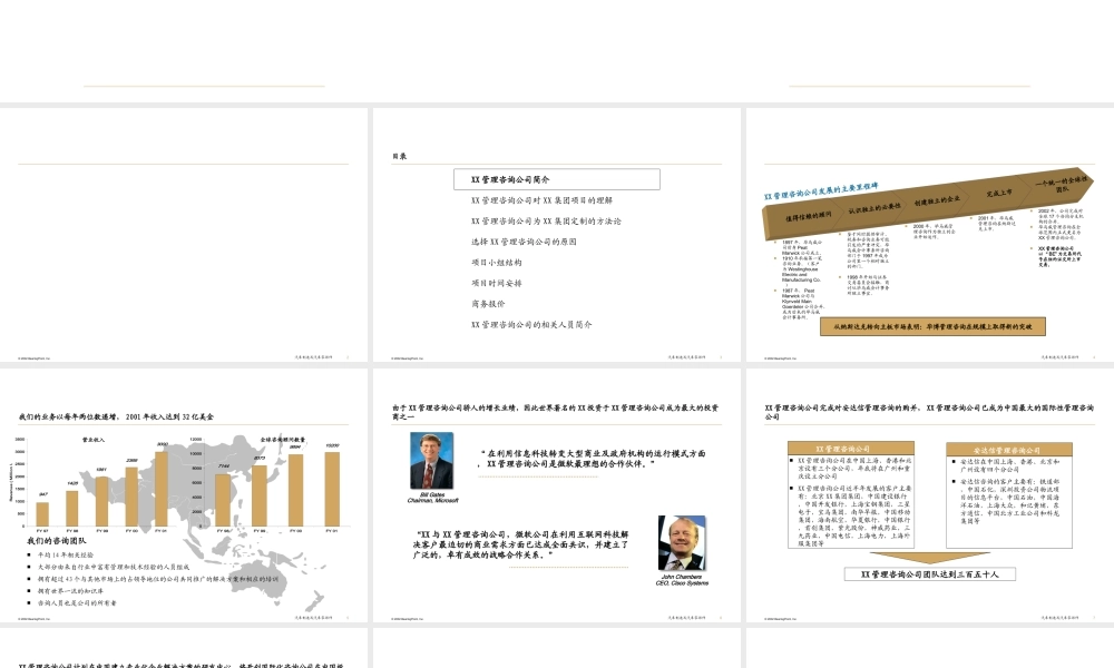 XX集团IT规划项目项目建议书.ppt