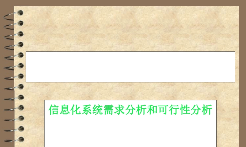 信息化系统需求分析和可行性分析.ppt