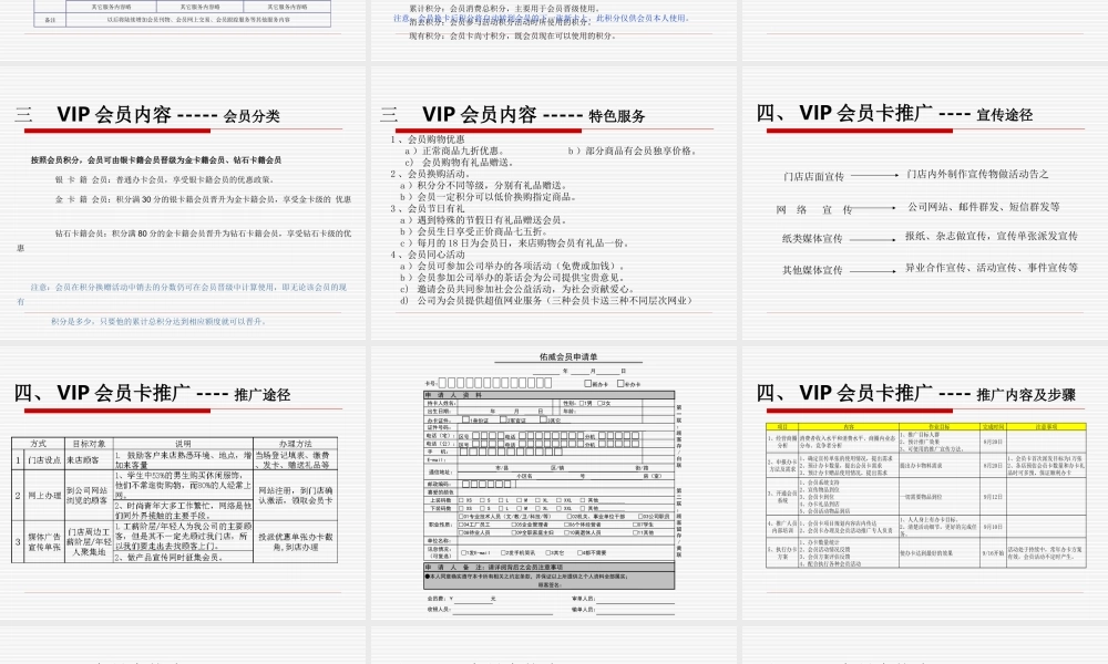 某VIP会员项目规划.ppt