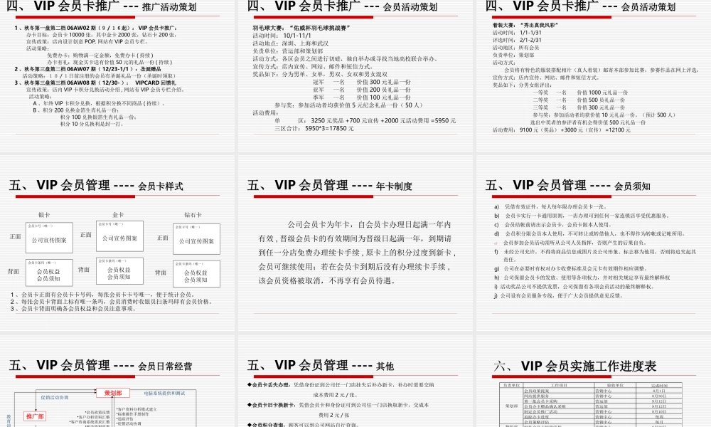 某VIP会员项目规划.ppt