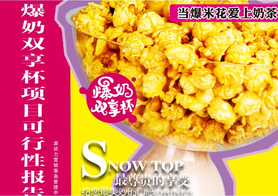 爆奶双享杯可行性报告.doc_第1页