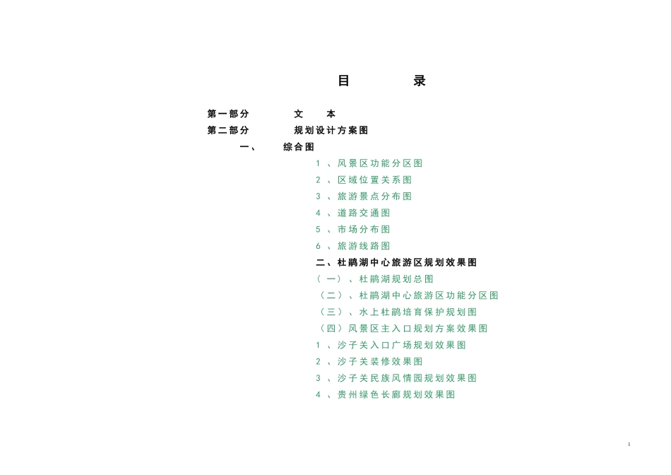 XX项目规划方案.doc_第1页