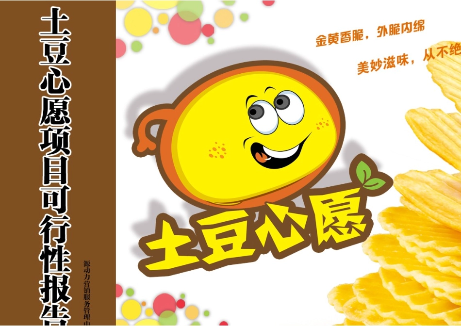 土豆心愿项目可行性报告11-29.doc_第1页