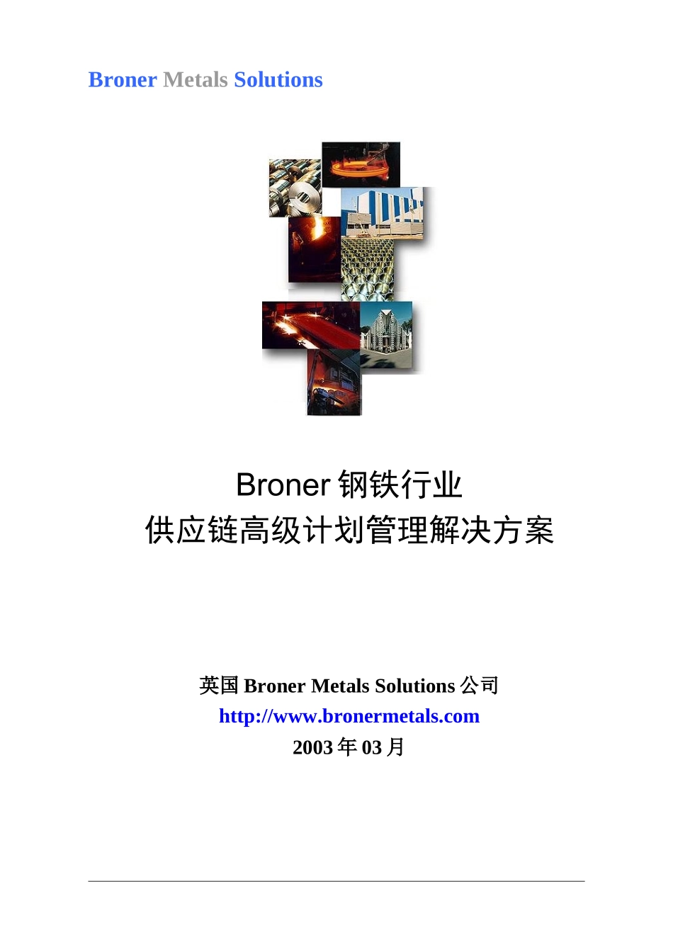 某钢铁行业供应链高级计划管理解决方案.doc_第1页