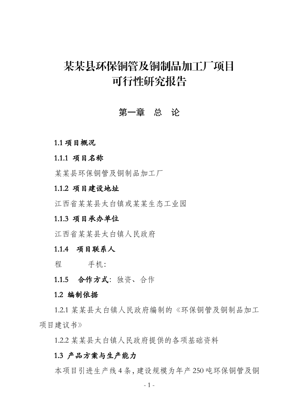 某某县环保铜管及铜制品加工厂项目.doc_第1页