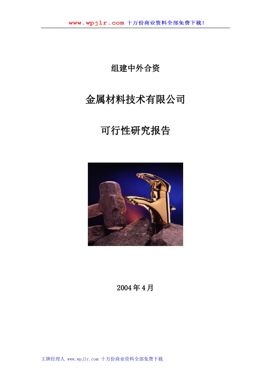 金属材料技术有限公司可行性研究报告.doc_第1页