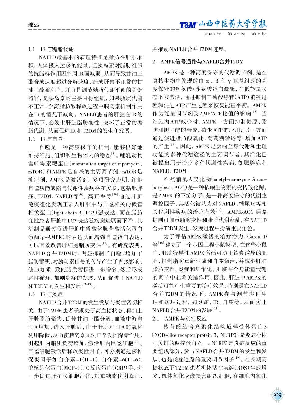 基于AMPK信号通路探讨中医药治疗非酒精性脂肪性肝病合并2型糖尿病研究进展.pdf_第2页