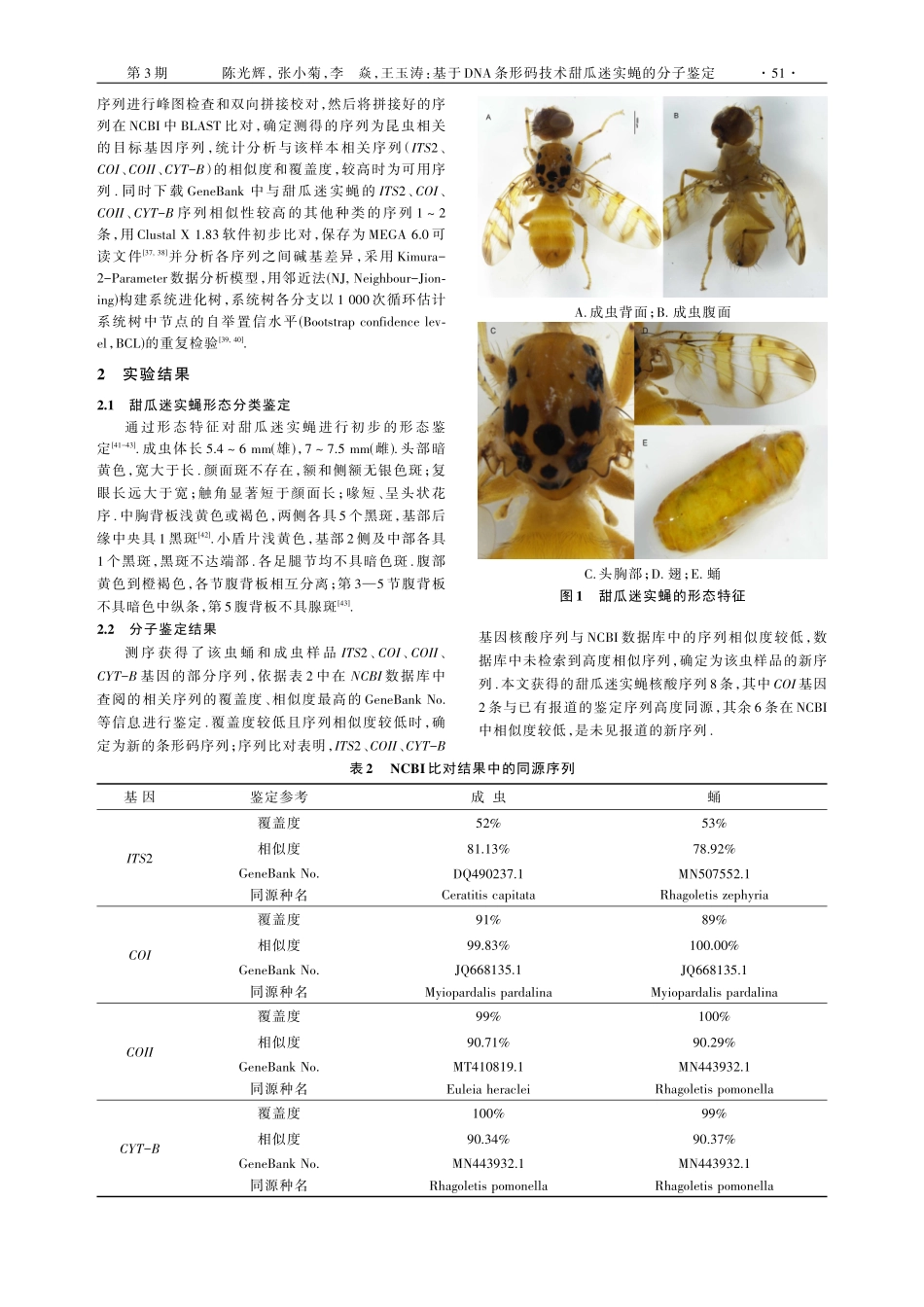 基于DNA条形码技术甜瓜迷实蝇的分子鉴定.pdf_第3页