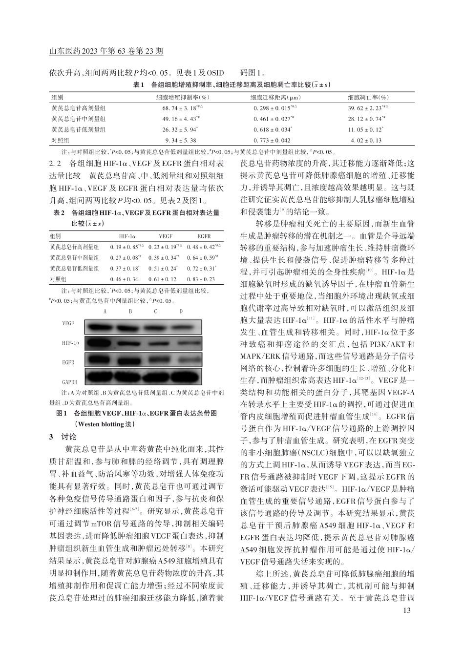 黄芪总皂苷对肺腺癌细胞增殖、迁移、凋亡能力及HIF-1α_VEGF信号通路蛋白表达的影响.pdf_第3页