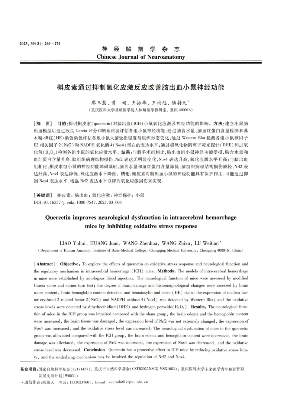 槲皮素通过抑制氧化应激反应改善脑出血小鼠神经功能.pdf_第1页