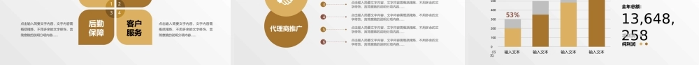 商业策划 (36).pptx