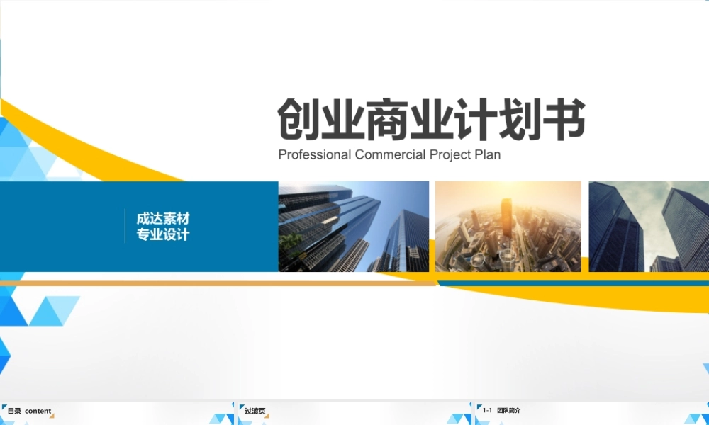 商业策划 (46).pptx