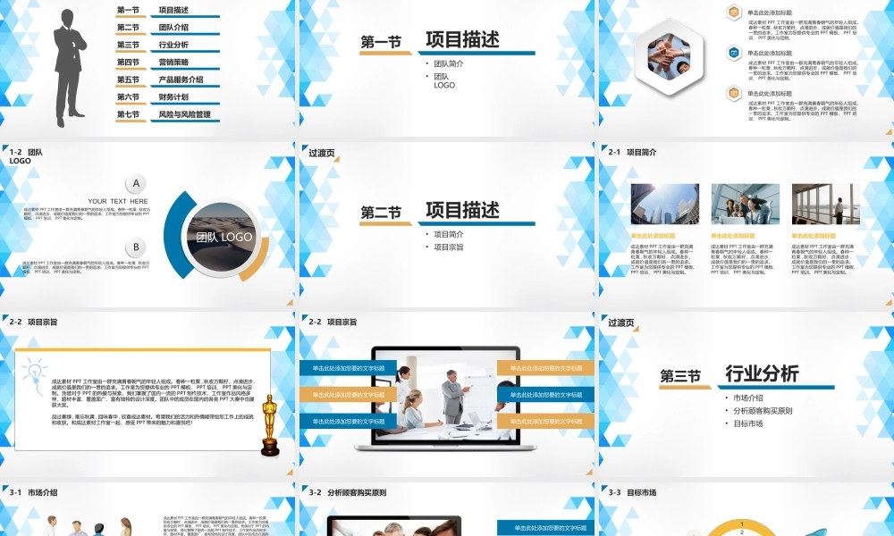 商业策划 (46).pptx