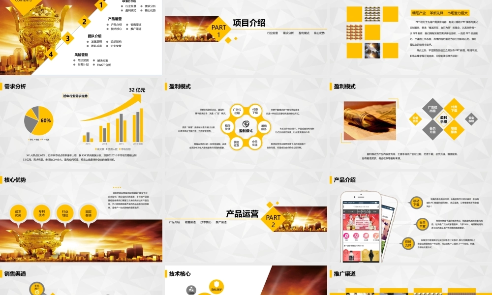 商业策划 (9).pptx
