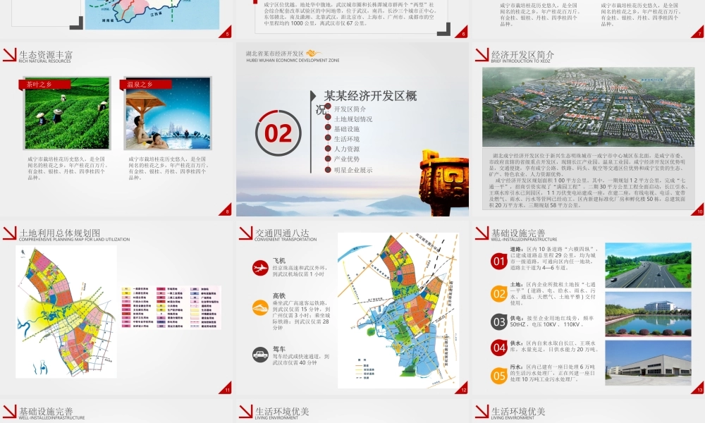 商业策划 (102).ppt