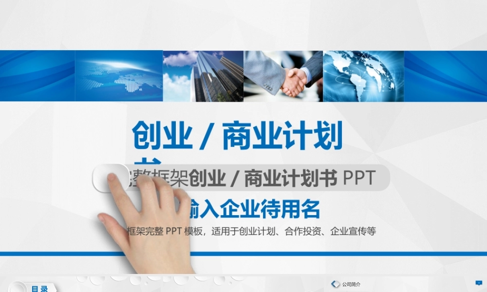 商业策划 (11).pptx