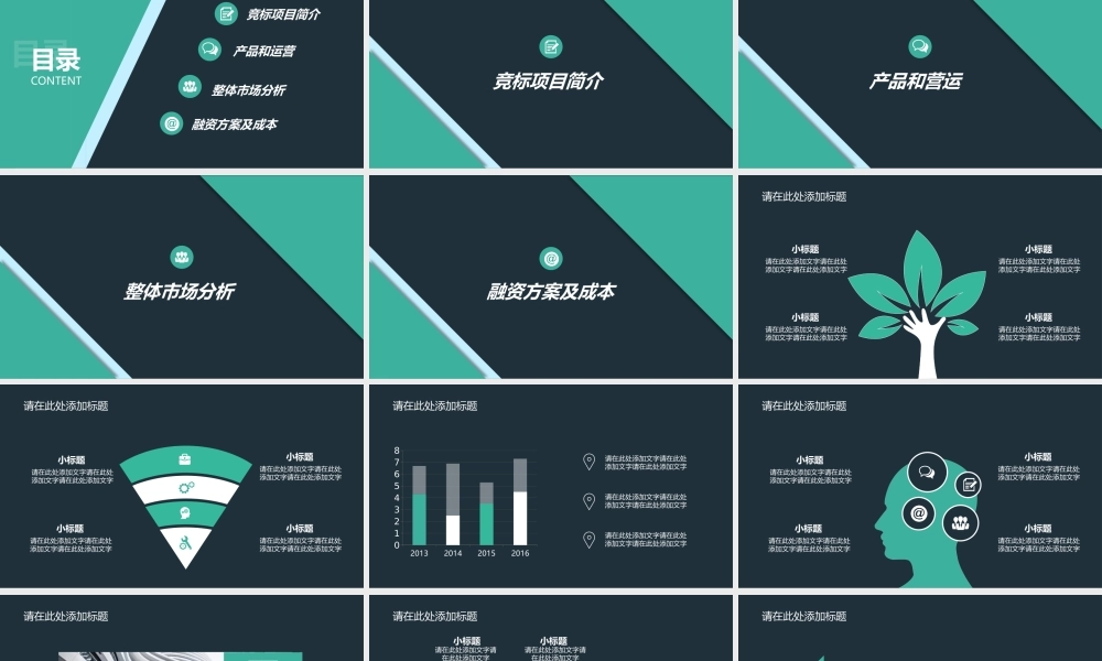 商业策划 (67).pptx