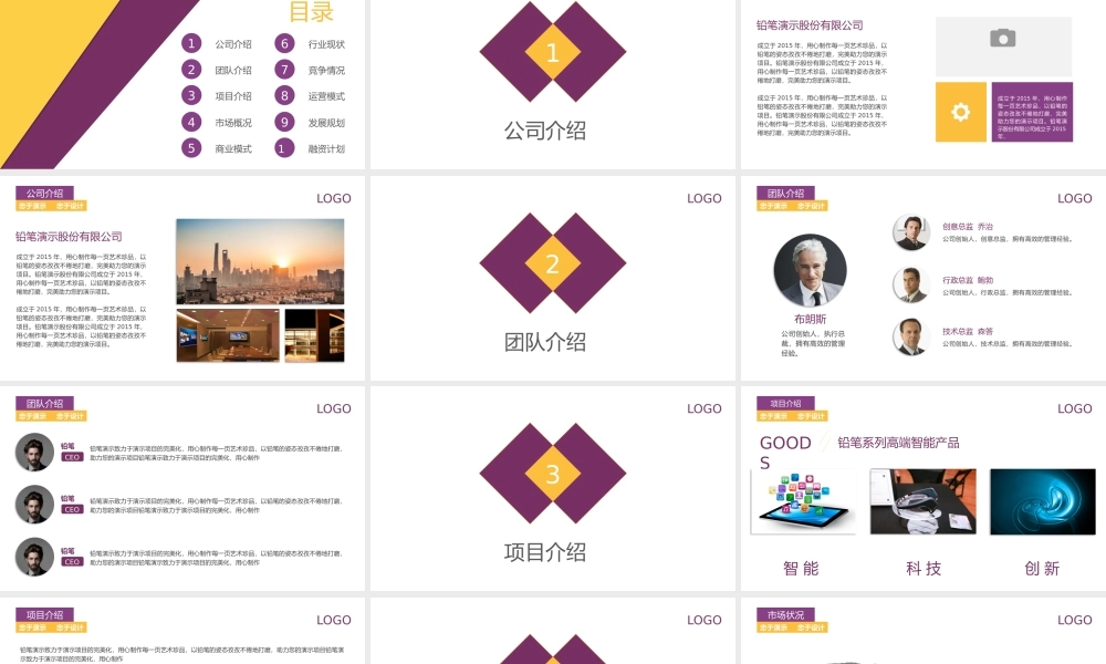 商业策划 (58).pptx