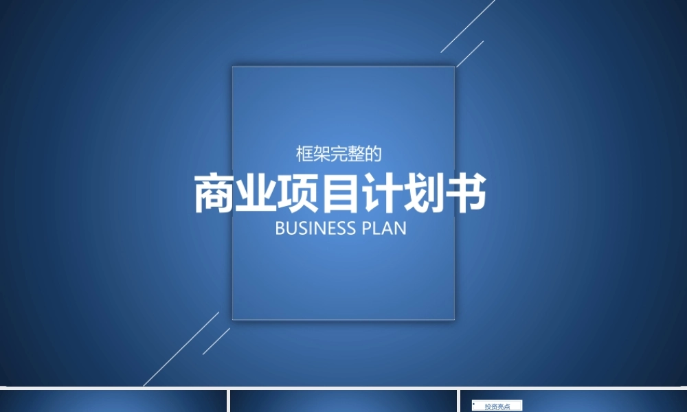 商业策划 (98).ppt