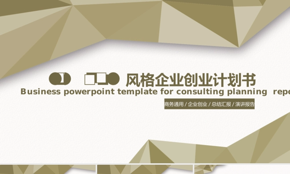 商业策划 (4).pptx