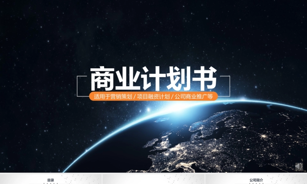 商业策划 (14).pptx