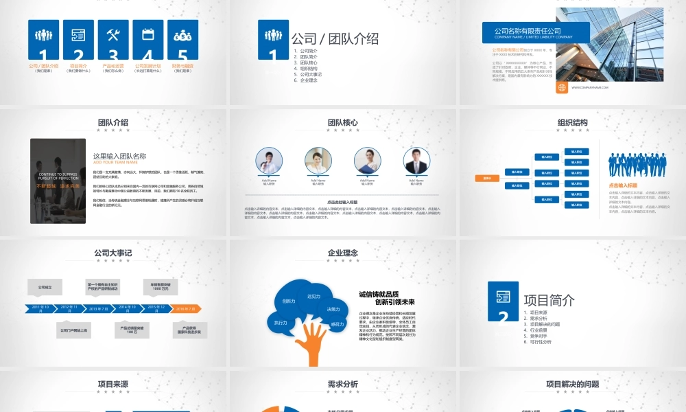 商业策划 (14).pptx
