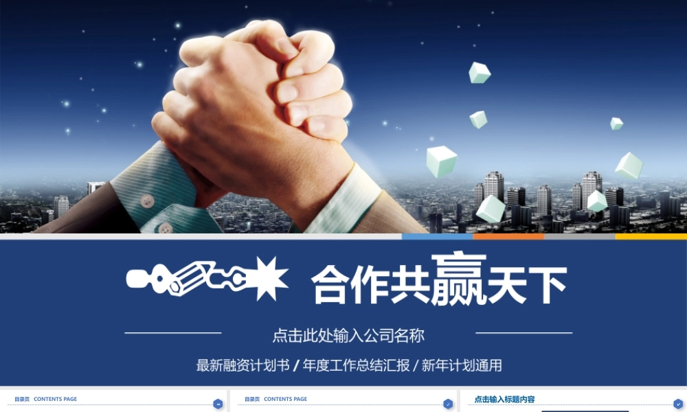 商业策划 (24).pptx