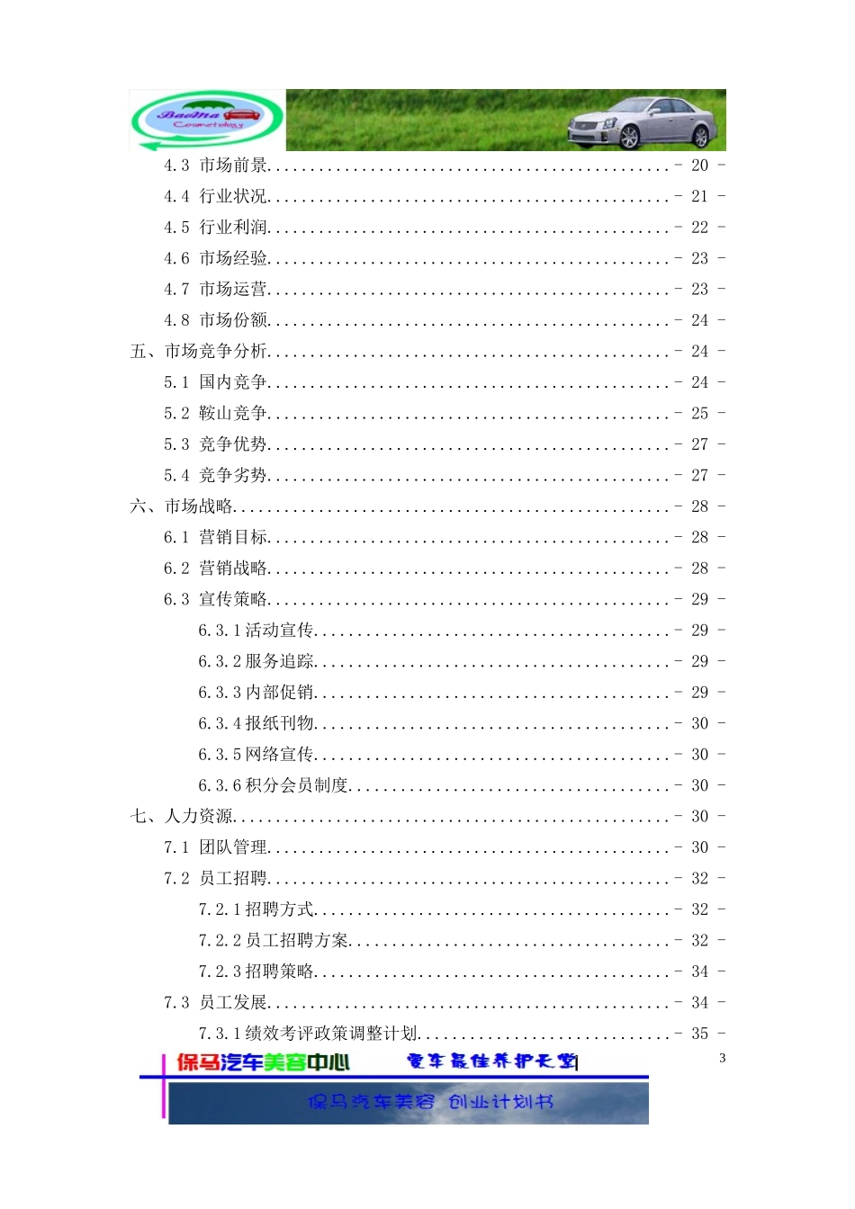 一份汽车美容创业计划书 (1).doc_第3页