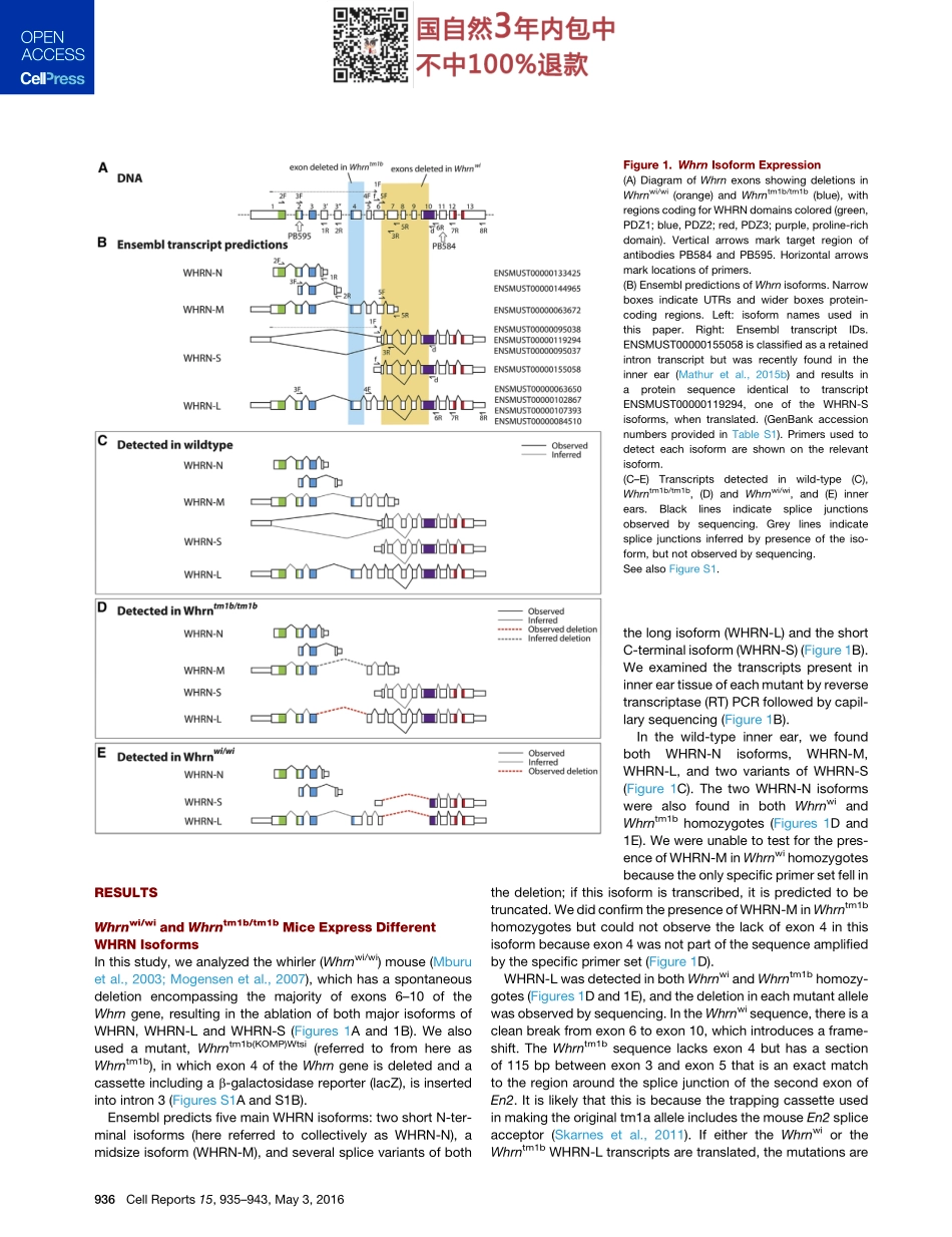 案例二Alternative Splice Forms Influence Functions.pdf_第3页