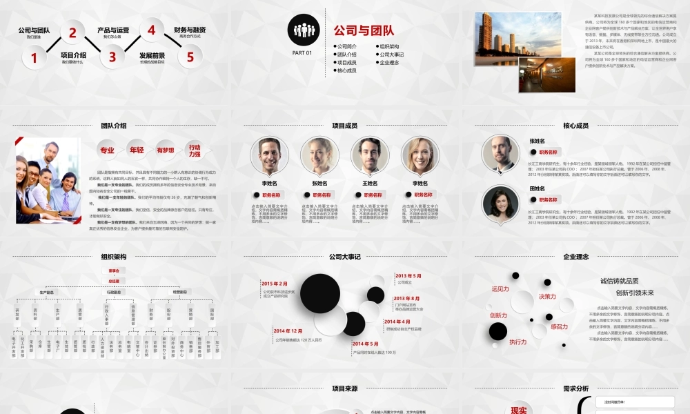 商业策划 (40).pptx