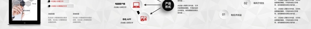 商业策划 (40).pptx