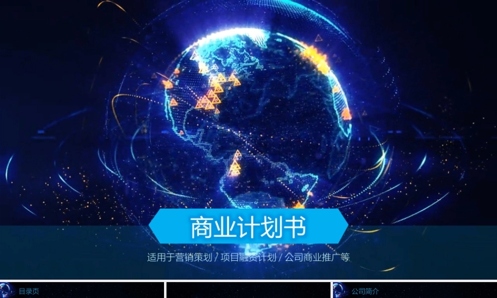商业策划 (13).pptx