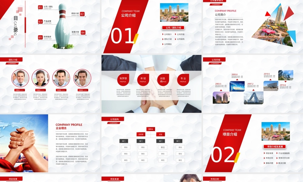 商业策划 (33).pptx