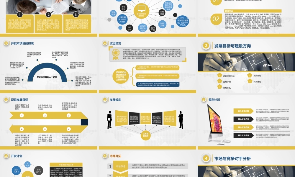 商业策划 (80).pptx