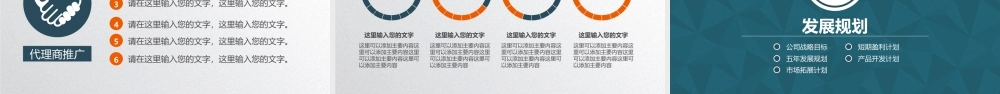 商业策划 (5).pptx