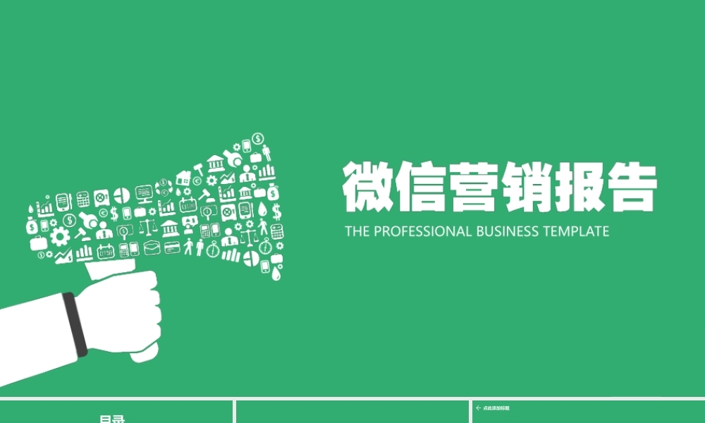 商业策划 (100).ppt