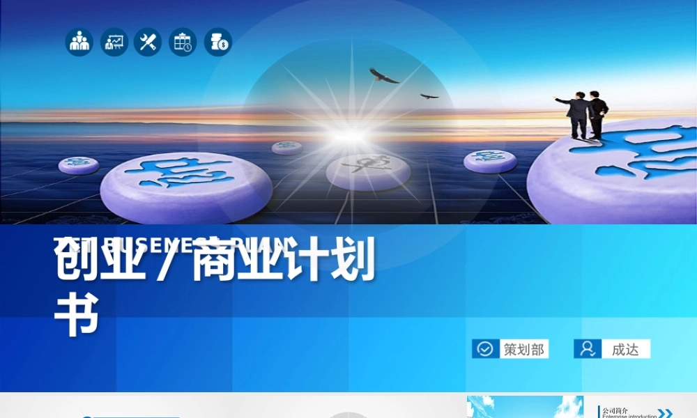 商业策划 (25).pptx