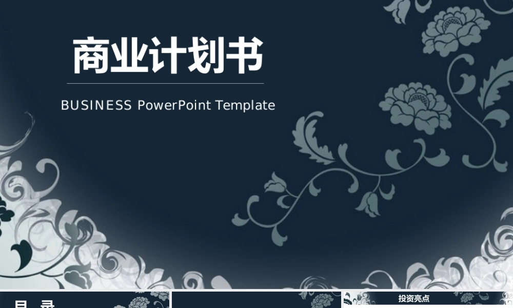 商业策划 (55).pptx