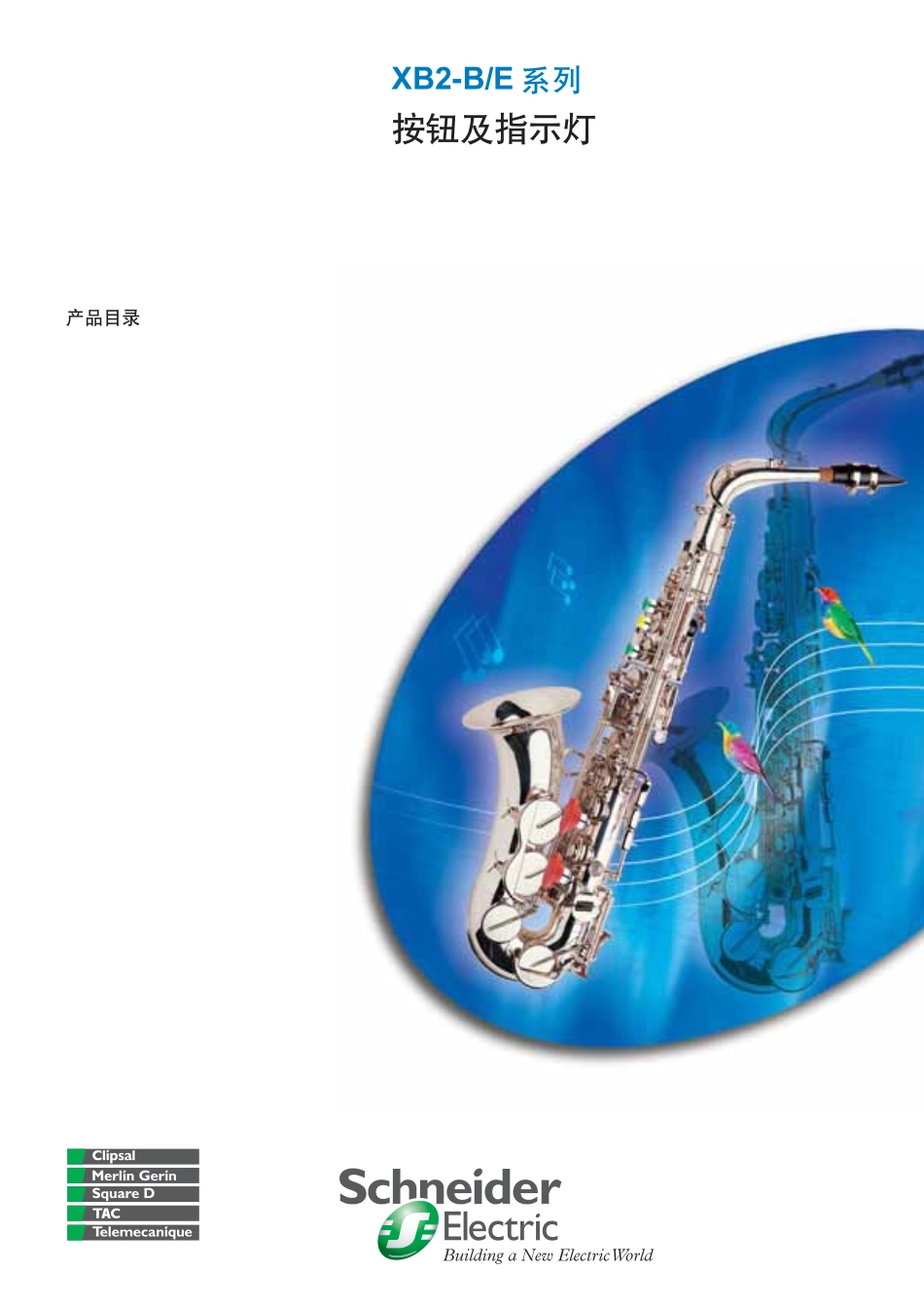 施耐德按钮选型系列.pdf_第1页