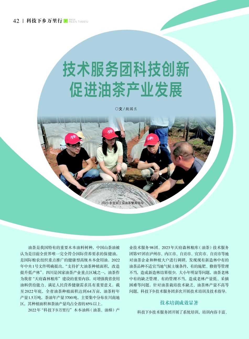 技术服务团科技创新 促进油茶产业发展.pdf_第1页