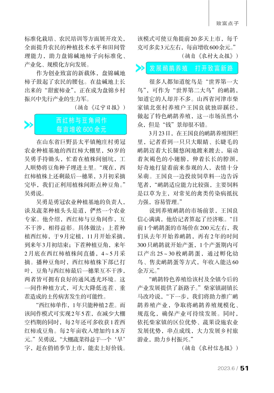 碱地种柿子 结出“甜日子”.pdf_第2页