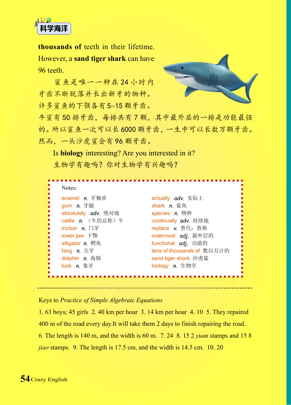 简易方程专项训练 (1).pdf_第3页