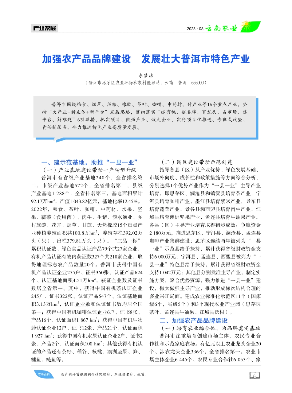 加强农产品品牌建设 发展壮大普洱市特色产业.pdf_第1页