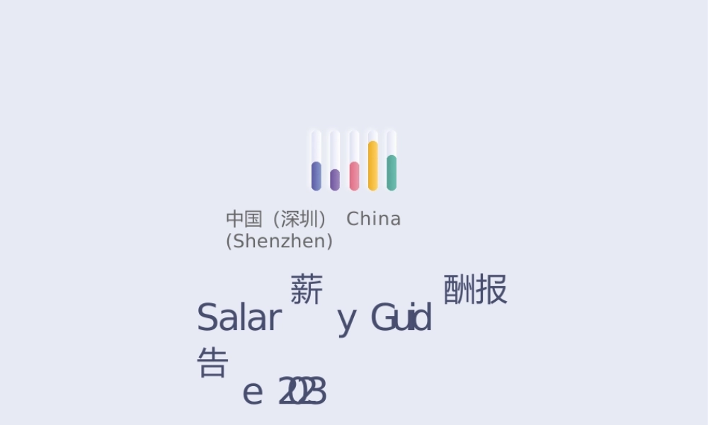 【Michael Page】薪酬报告2023 深圳【洞见研报DJyanbao.com】.pptx