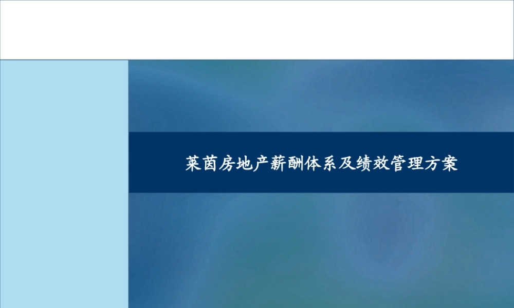 【新增】-027 -房地产薪酬体系及绩效管理方案.pptx