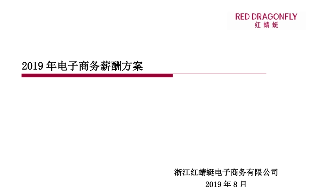 2019年最新-2019年电子商务薪酬设计方案0-精选文档.ppt