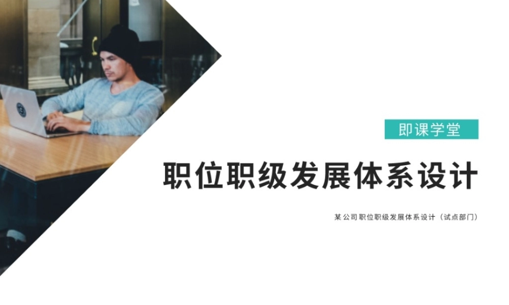职位职级发展体系设计方案.pptx