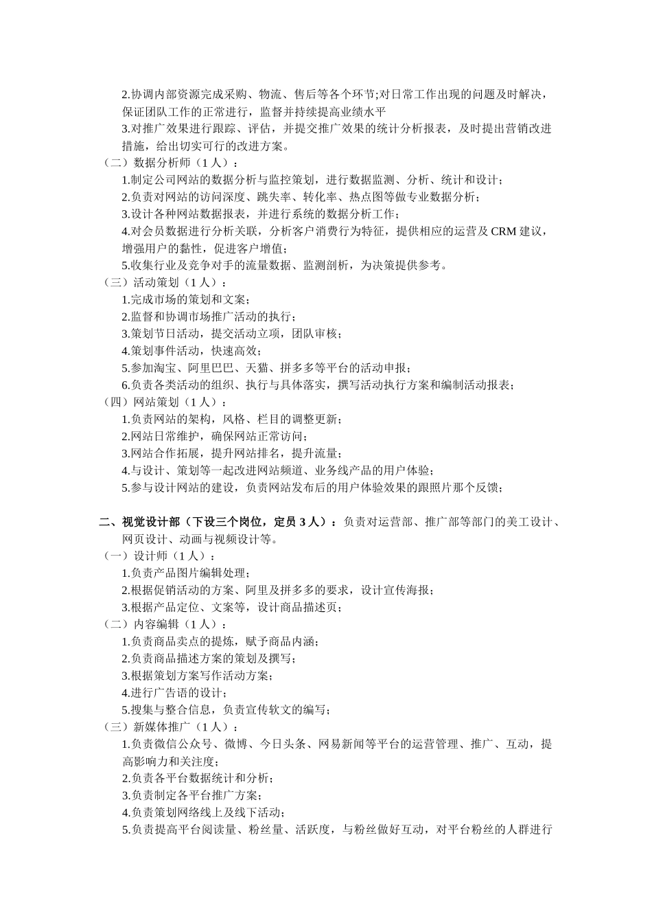 电商组织架构及运营管理 (2).docx_第2页