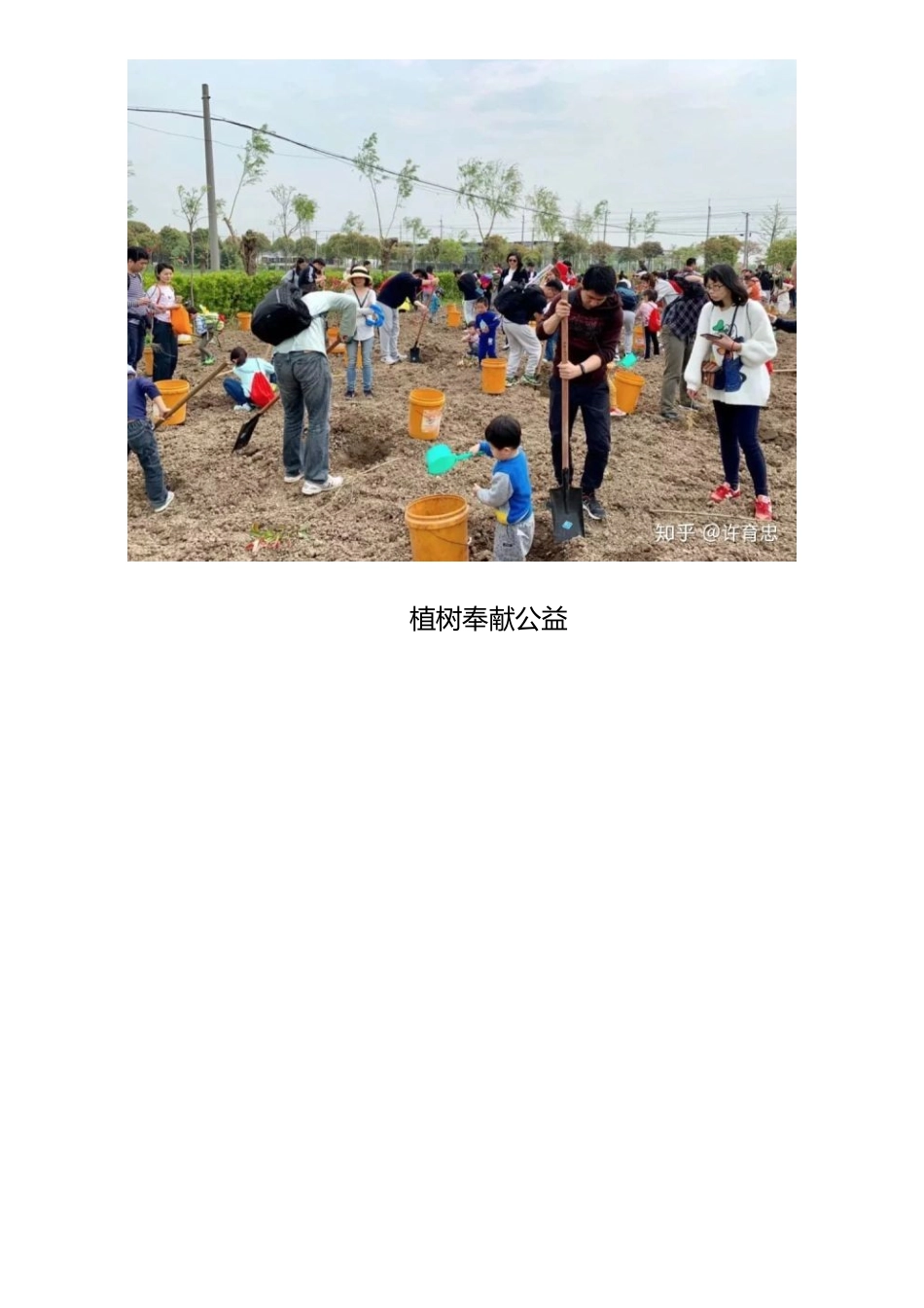 12家庭日活动创意-DENSO电装.docx_第3页