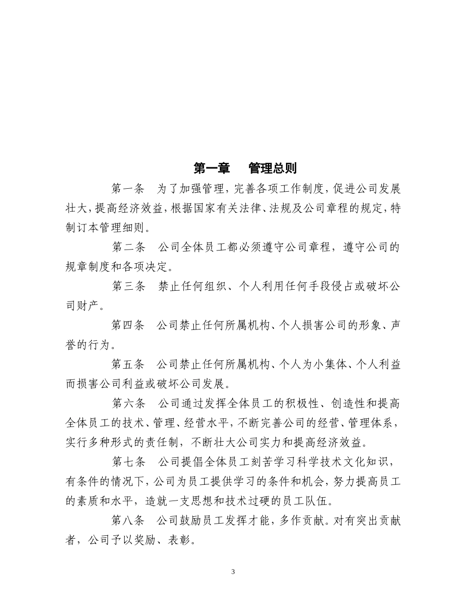 31 -国企公司规章制度 (2).doc_第3页